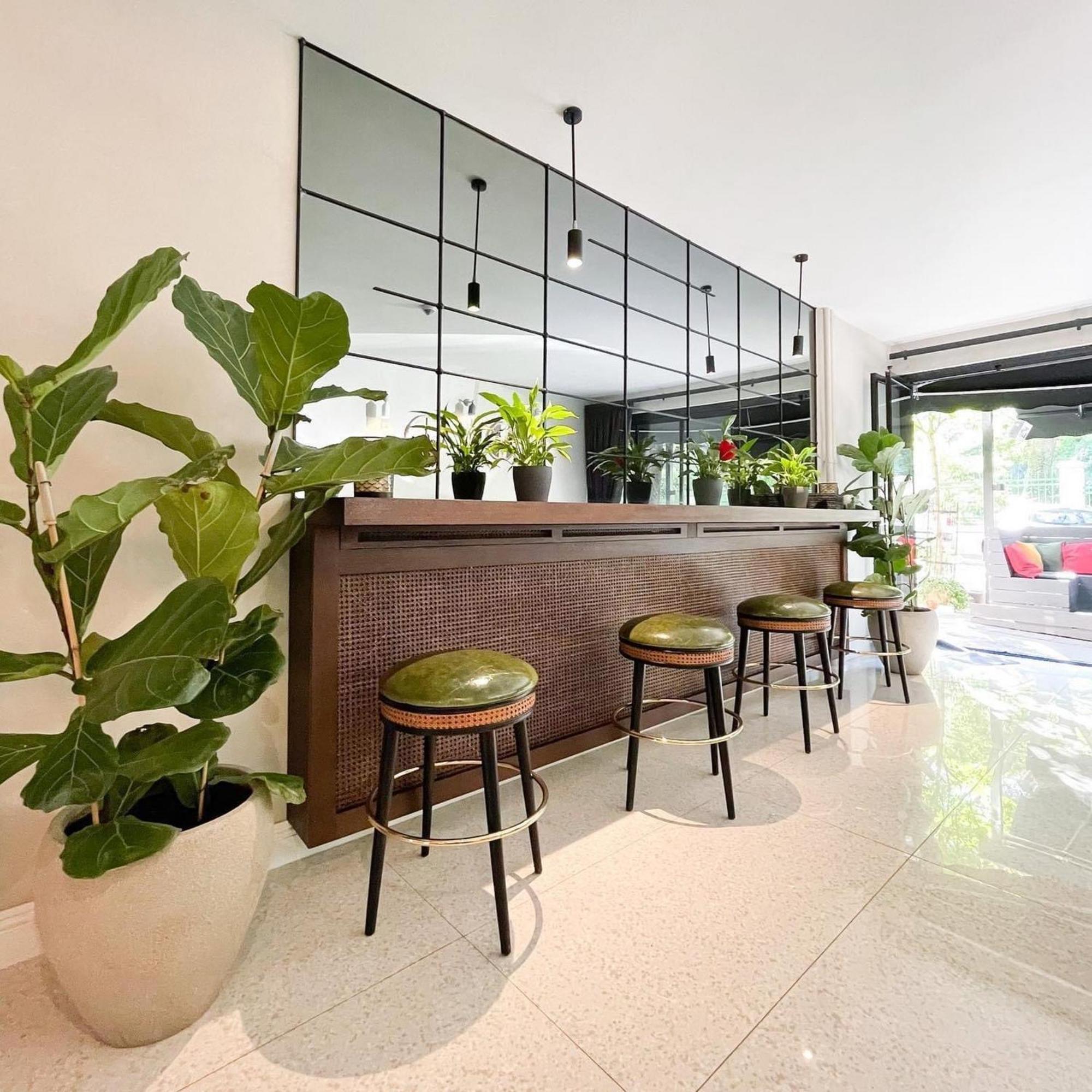 Hotel Botanica Βελιγράδι Εξωτερικό φωτογραφία