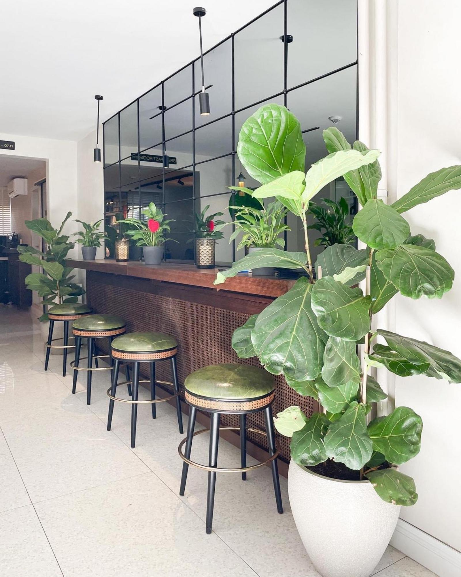 Hotel Botanica Βελιγράδι Εξωτερικό φωτογραφία
