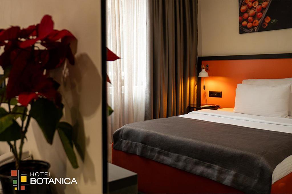 Hotel Botanica Βελιγράδι Εξωτερικό φωτογραφία