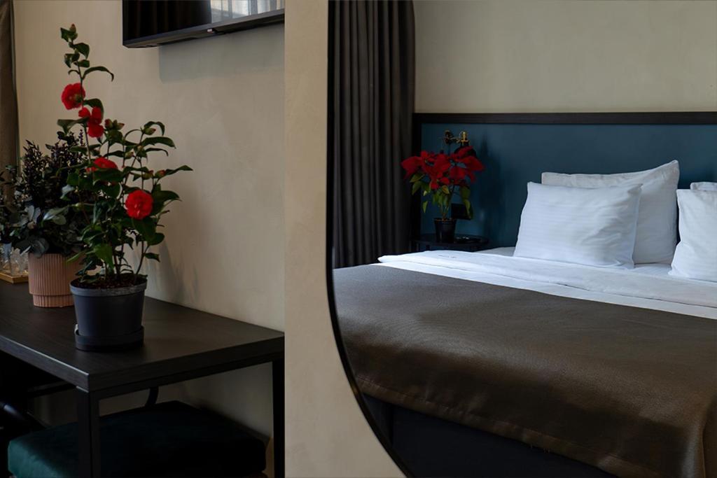Hotel Botanica Βελιγράδι Εξωτερικό φωτογραφία