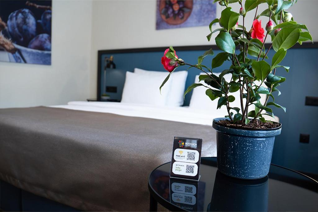 Hotel Botanica Βελιγράδι Εξωτερικό φωτογραφία